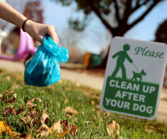 Re: The Dog Poop Girl